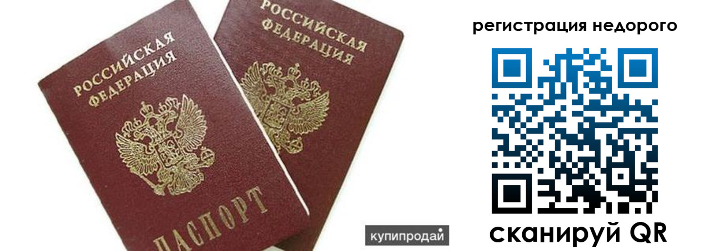 прописка поиск в Звенигово